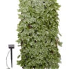 Smart Garden Solar-Spalier Efeu, Ca. 180 Cm