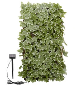 Smart Garden Solar-Spalier Efeu, Ca. 180 Cm