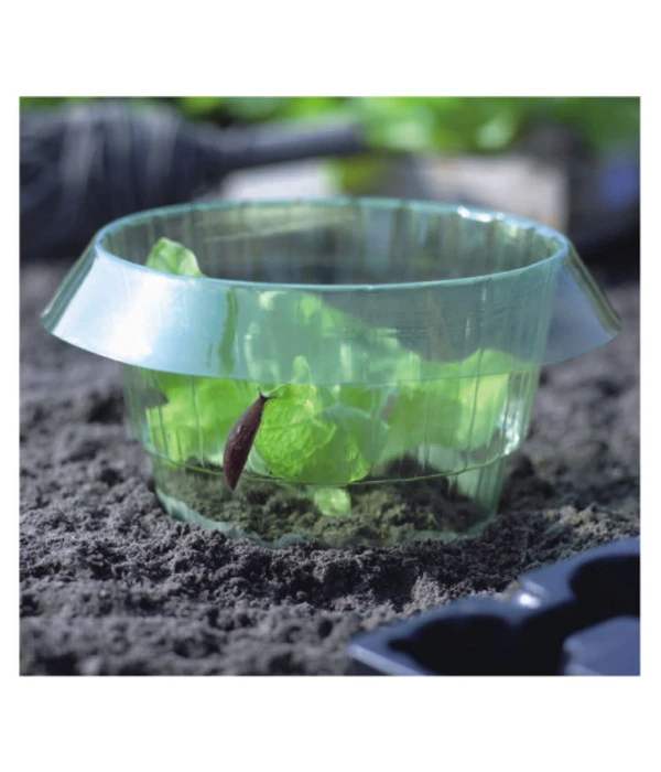 Dehner Schneckenschutzring – Bild 2