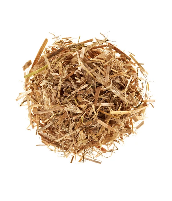 Pilzmännchen Bio Pilzzuchtset Austernpilz – Bild 2