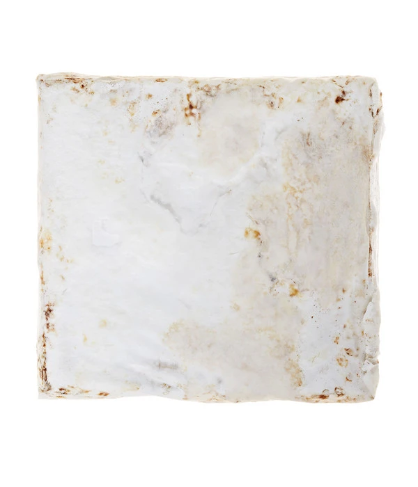 Pilzmännchen Bio Pilzzuchtset Austernpilz – Bild 3