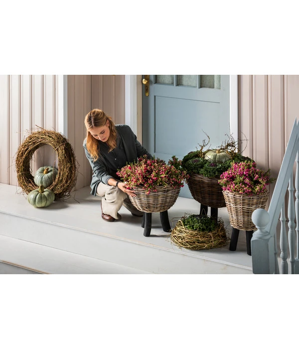 Van Der Leeden Rattan-Topf – Bild 3