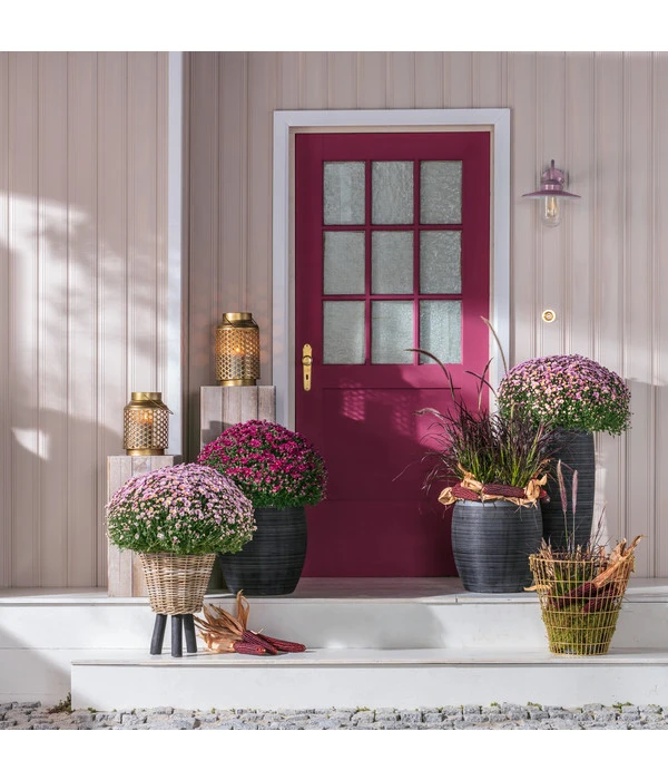 Van Der Leeden Rattan-Topf – Bild 5