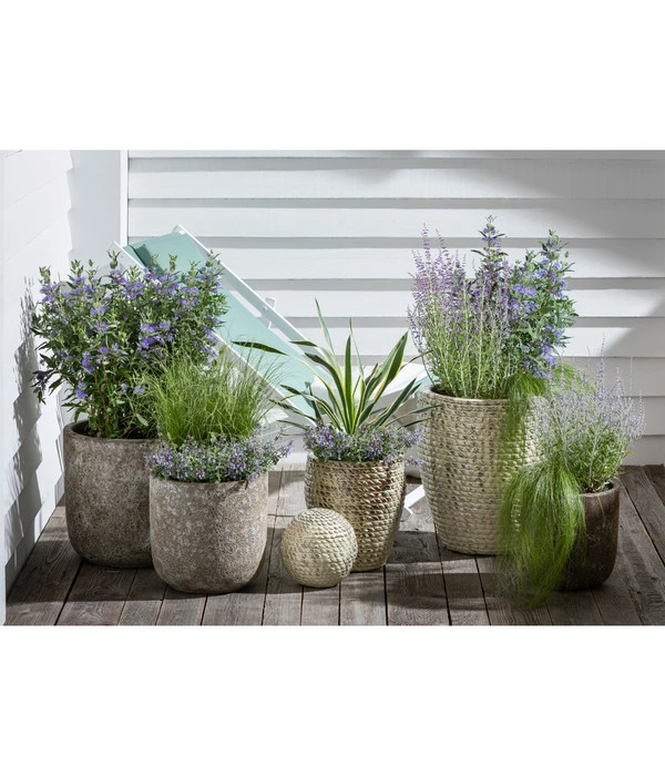 Dehner Keramik-Topf Bungxe, Meliert – Bild 2