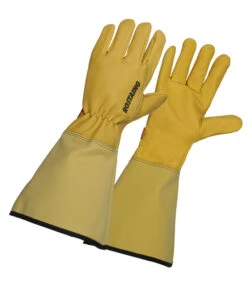 Lederhandschuh Roseraie