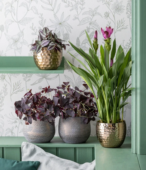 Dehner Keramik-Übertopf Jan, Bauchig, Ca. Ø16 Cm – Bild 2