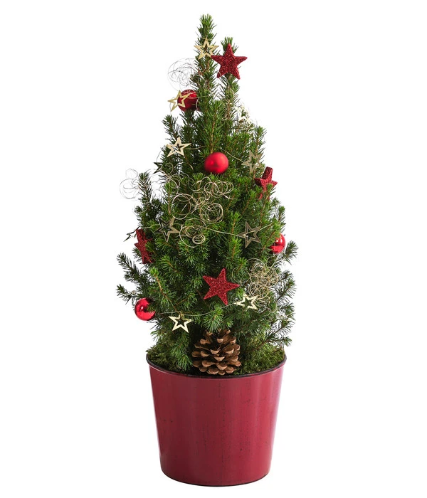 Geschmückter Weihnachtsbaum Antik