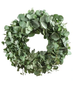 Dehner Kranz Eukalyptus, Grün, Ca. Ø40 Cm
