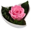 Dehner Herzschale Mit Longlife-Rose Lena, Rosa, Ca. B11/H7 Cm