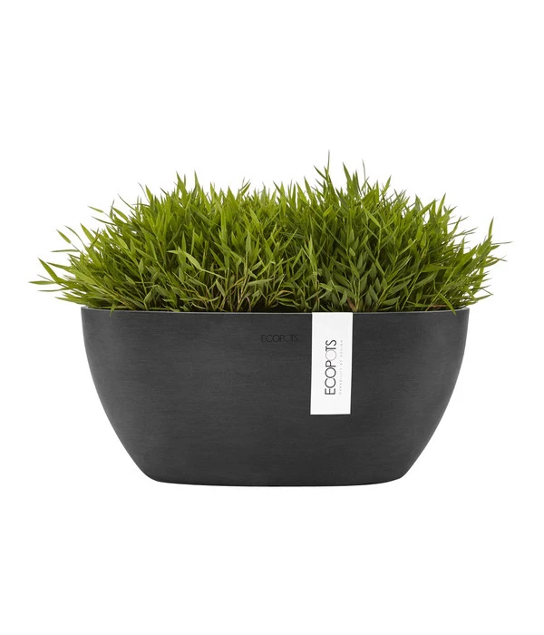 Ecopots Kunststoff-Schale Sofia Mit Wassersystem, Oval, Dunkelgrau, Ca. B30/H13,5/T13 Cm – Bild 2
