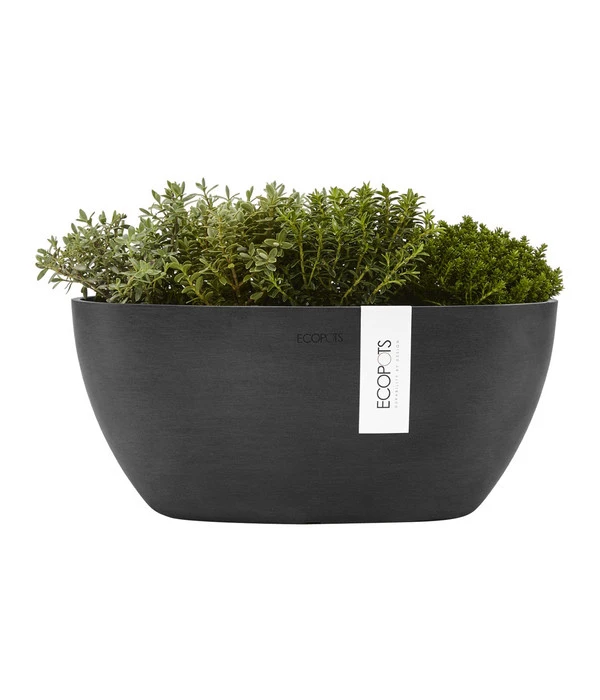 Ecopots Kunststoff-Schale Sofia Mit Wassersystem, Oval, Dunkelgrau, Ca. B30/H13,5/T13 Cm – Bild 3