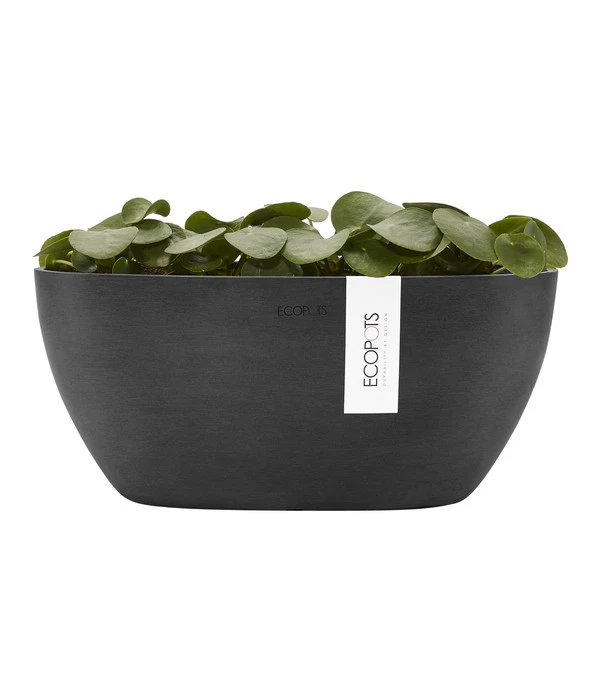 Ecopots Kunststoff-Schale Sofia Mit Wassersystem, Oval, Dunkelgrau, Ca. B30/H13,5/T13 Cm – Bild 4