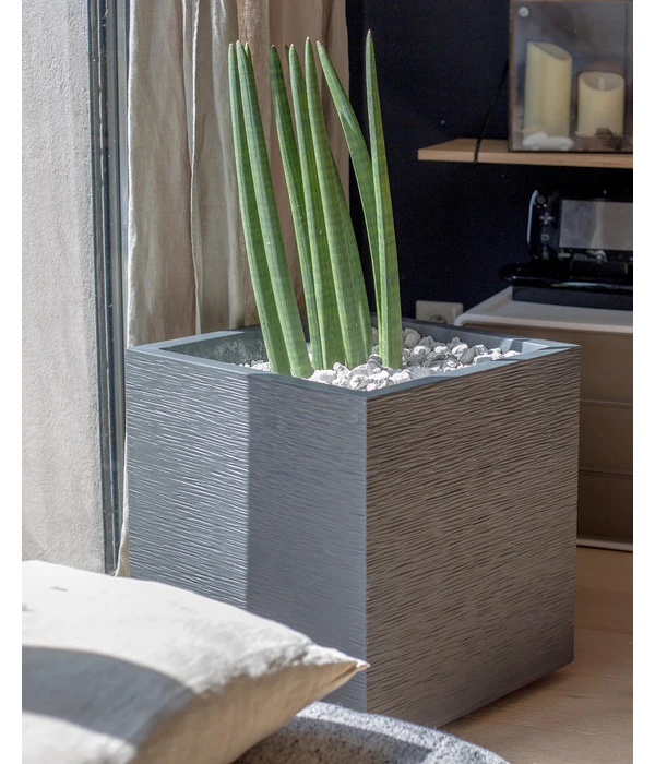 EDA-plastiques Kunststoff-Topf Graphit, Gerillt – Bild 4