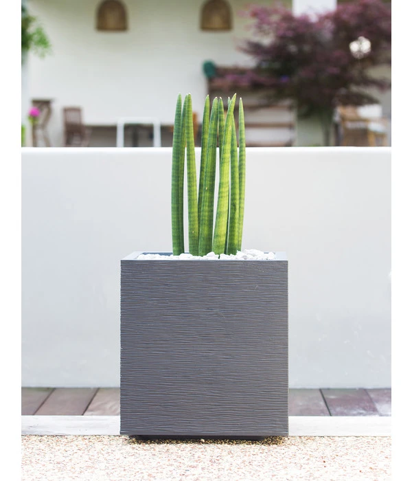 EDA-plastiques Kunststoff-Topf Graphit, Gerillt – Bild 5