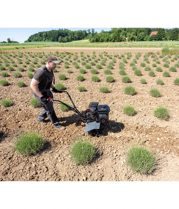 AL-KO Benzin-Motorhacke MH 540 – Bild 5