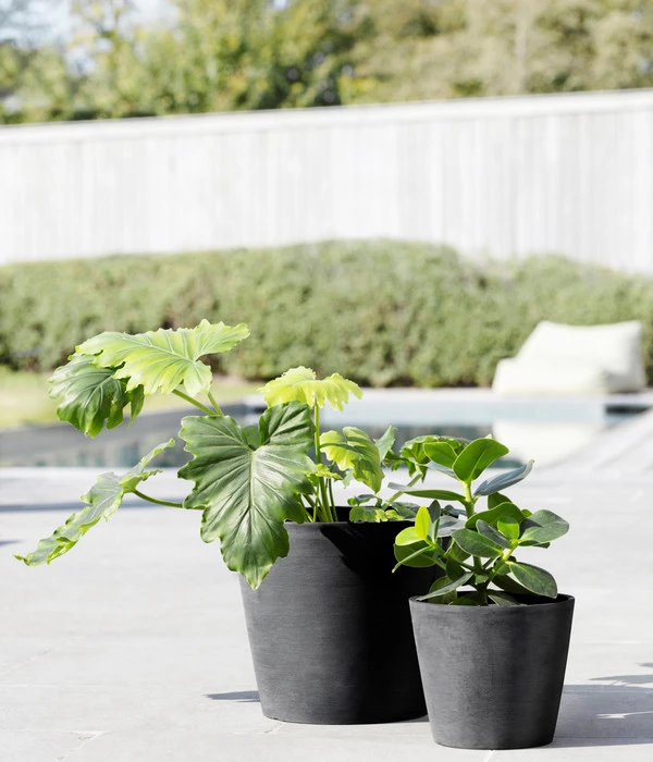 Ecopots Kunststoff-Topf Amsterdam Mit Wassersystem, Rund – Bild 3