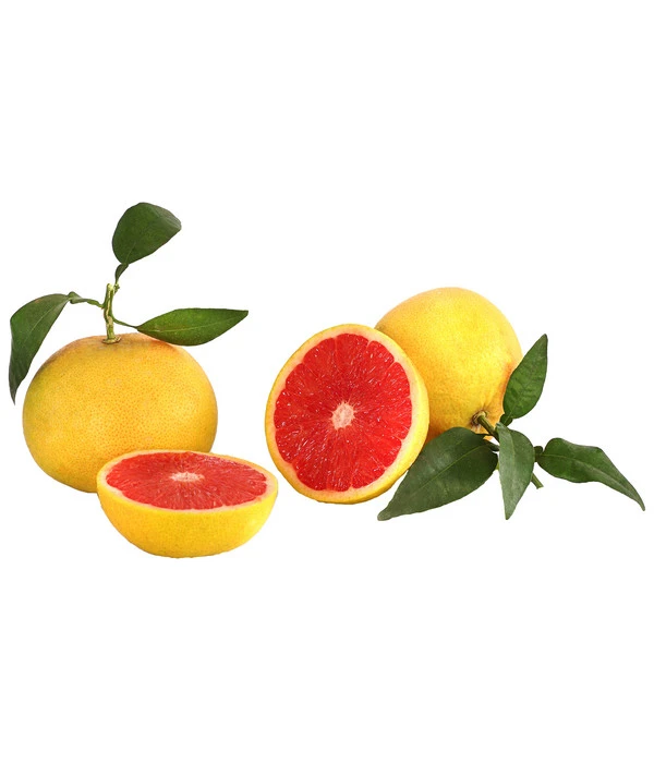 Rosafarbene Grapefruit – Bild 2