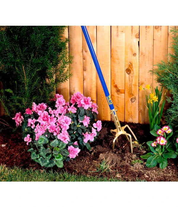 Gartenkralle Gold – Bild 2