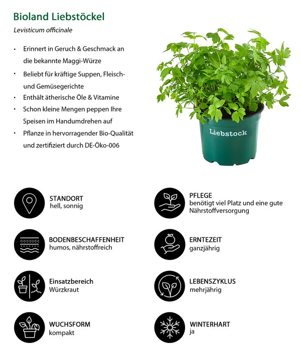 Bioland Liebstöckel – Bild 2