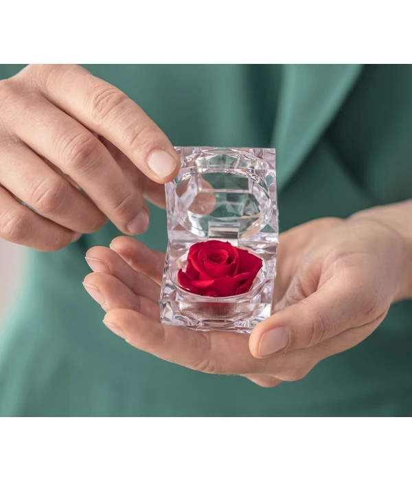 Longlife-Rose In Juwelenbox, Ca. Ø3,5 Cm – Bild 2