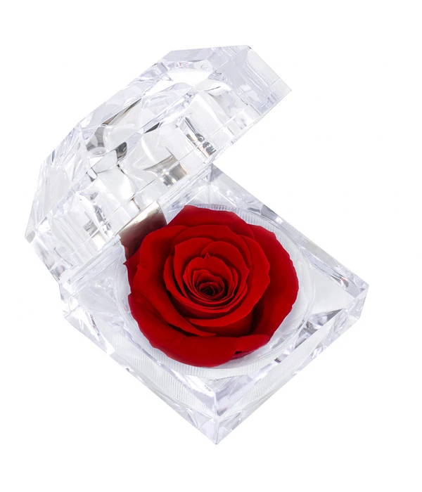 Longlife-Rose In Juwelenbox, Ca. Ø3,5 Cm