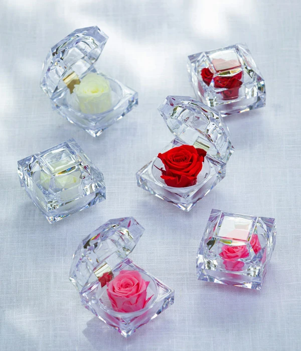 Longlife-Rose In Juwelenbox, Ca. Ø3,5 Cm – Bild 4