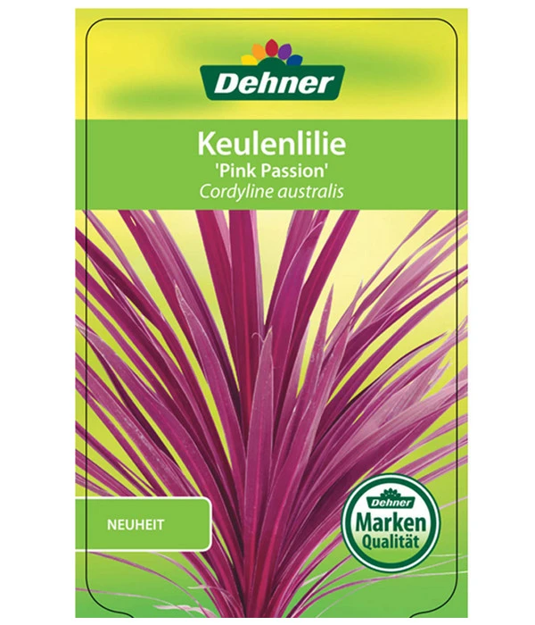 Keulenlilie 'Pink Passion' – Bild 4