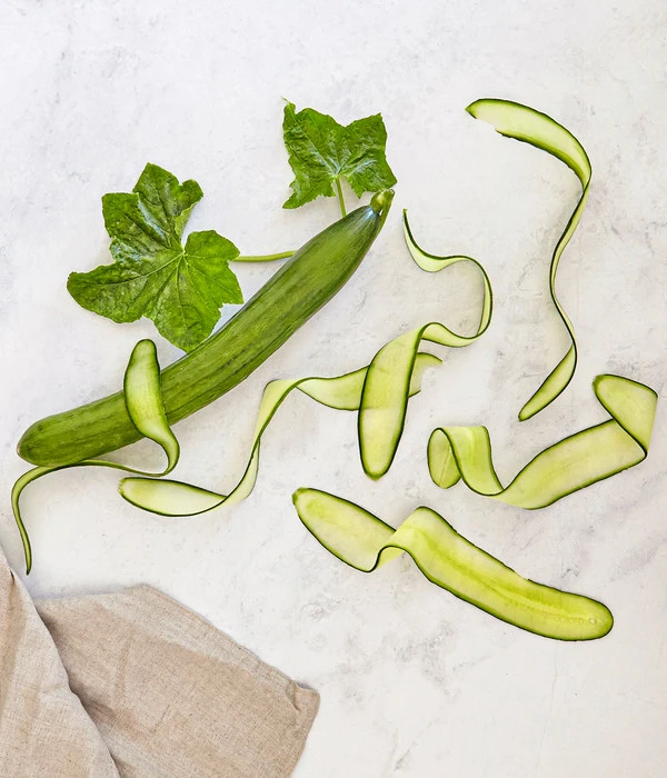 Bioland Gurke, Veredelt – Bild 4