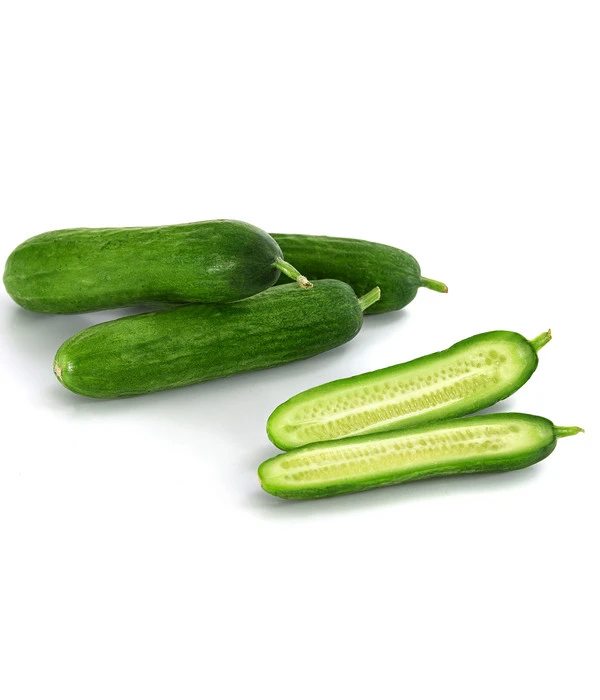 Snackgurke – Bild 3